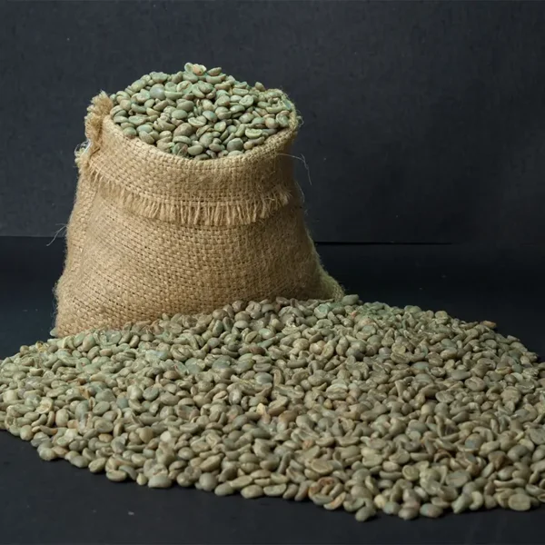 Lamjung Green Coffee Beans in a jute sack ready for roasting